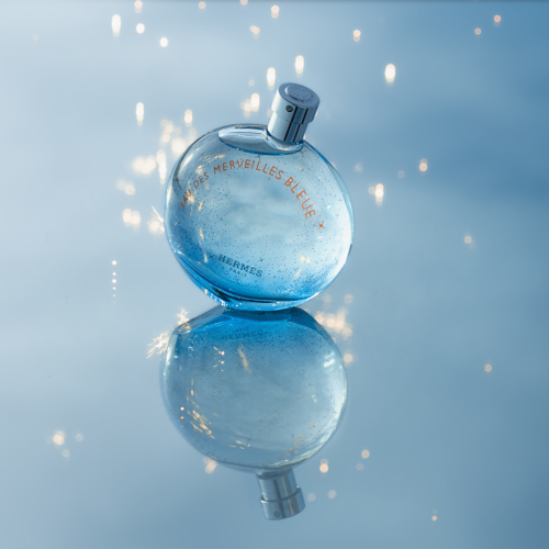 Eau Des Merveilles Bleue EDT 100 ml von Hermes