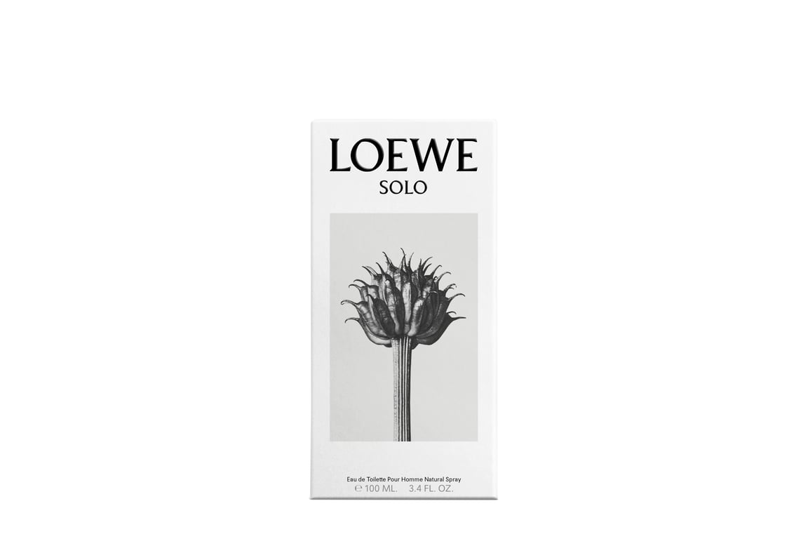 Solo Loewe EDT 100 ml de Loewe