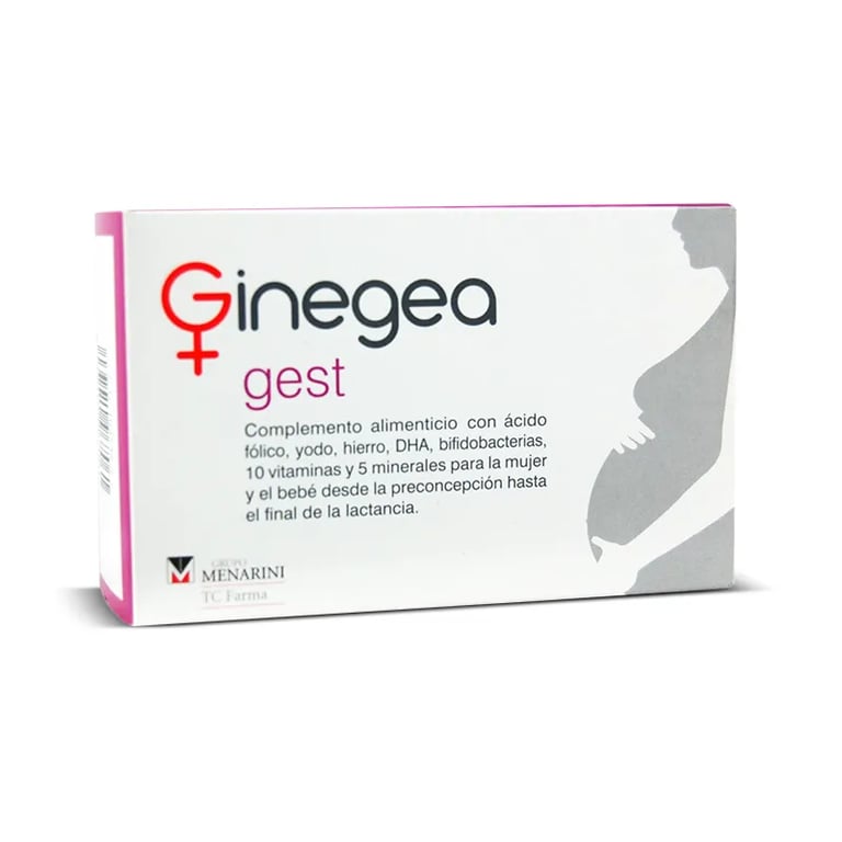 GINEGEA GEST