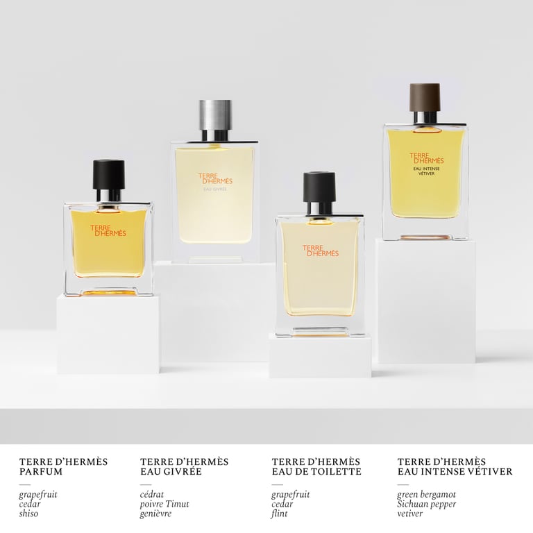 Terre D'Hermes Eau Givrée EDP Recharge 125 ml von Hermès