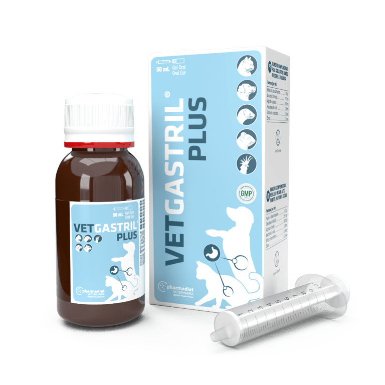 VetGastril Plus