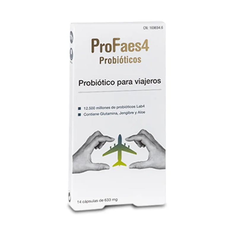 PROFAES4 VIAJEROS
