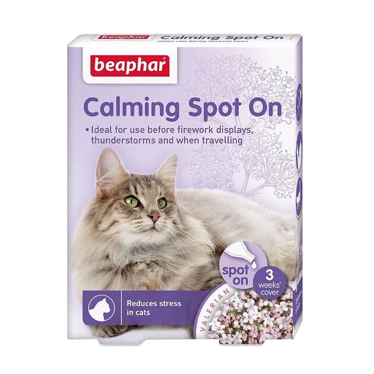 Calming Sport On Katze