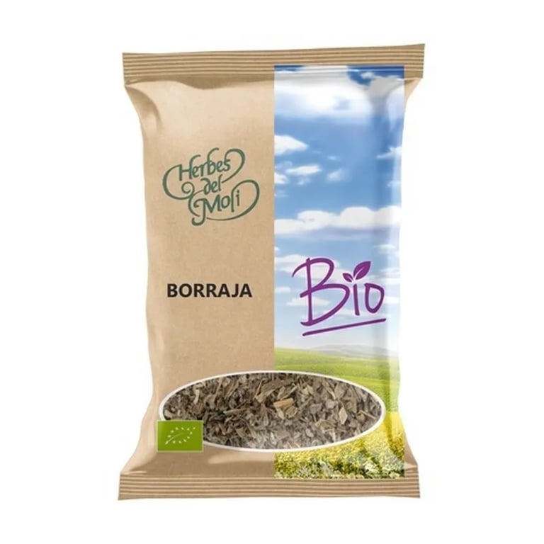 Borragine Pianta Bio