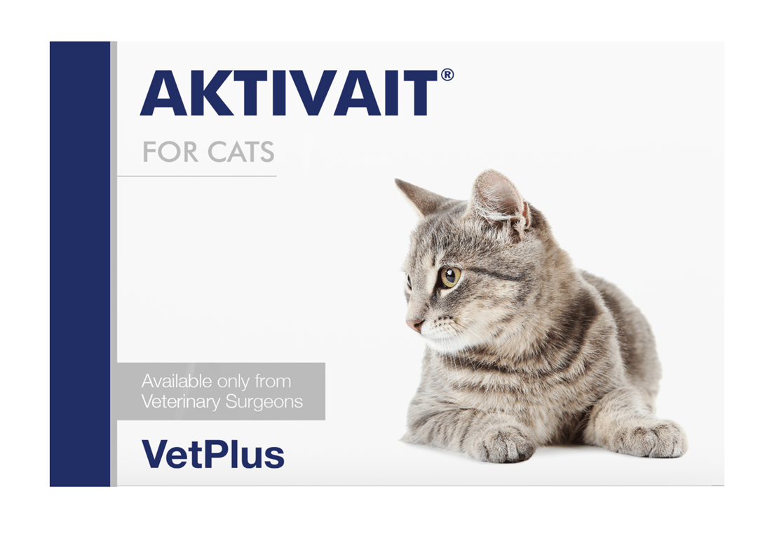 Aktivat Para Gatos