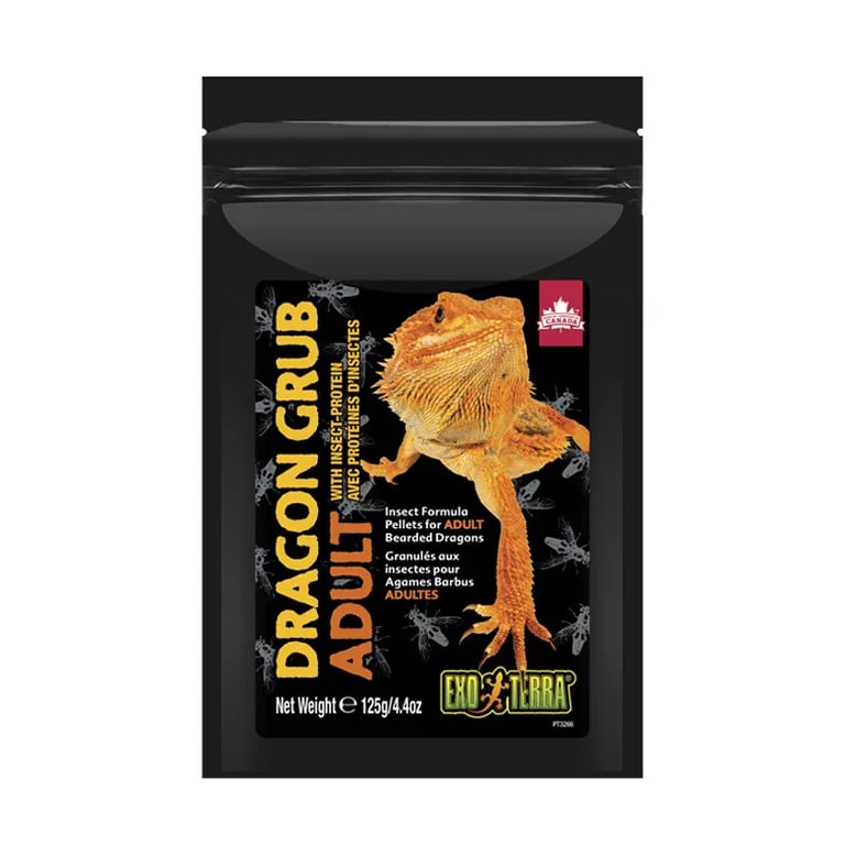 Dragon Grub Erwachsene