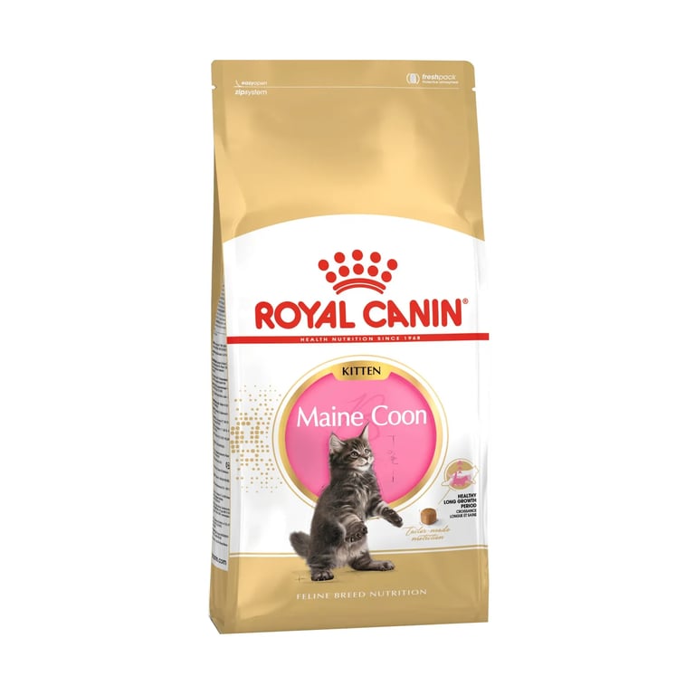 Royal Canin Kitten Maine Coon Kattentje Van Ras