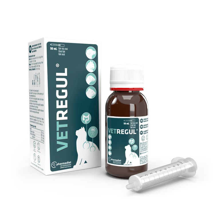 Vetregul Gel Digestif