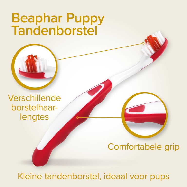 Pack Dentaire Chiots - imagen 5 de 5