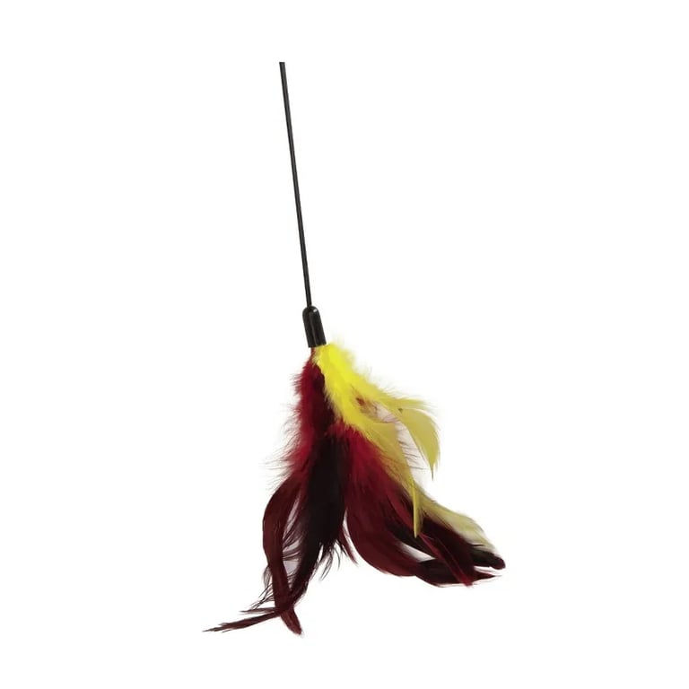 Caña Con Pluma Colores