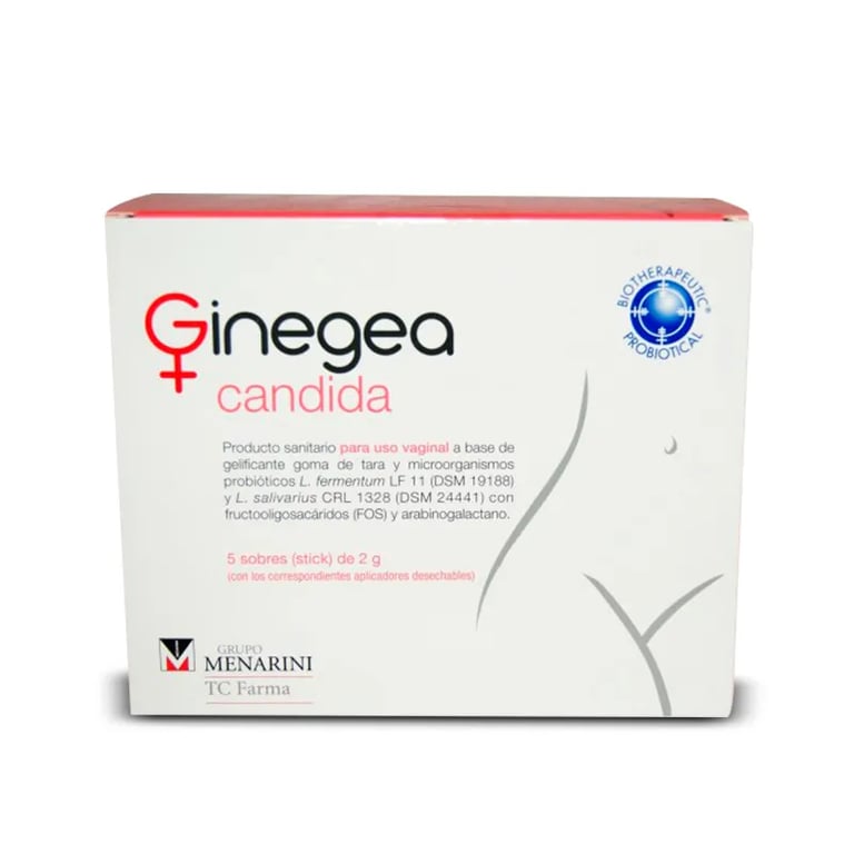 GINEGEA CANDIDA