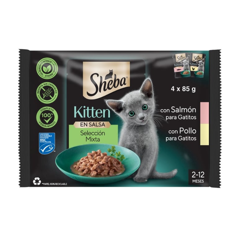 Kitten Selección Mixta en Salsa