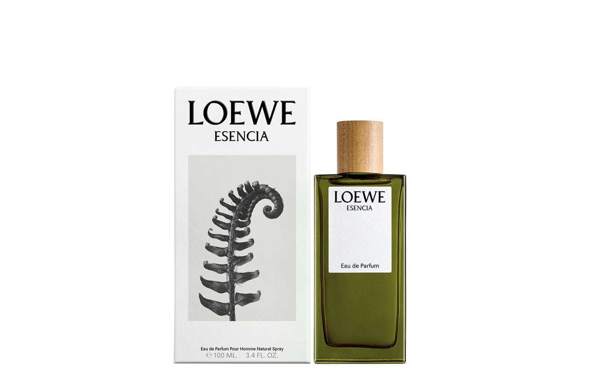 Loewe Essence Homme EDP 100 ml de Loewe