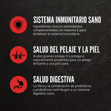 Dry Regional Red Dog - imagen 4 de 13