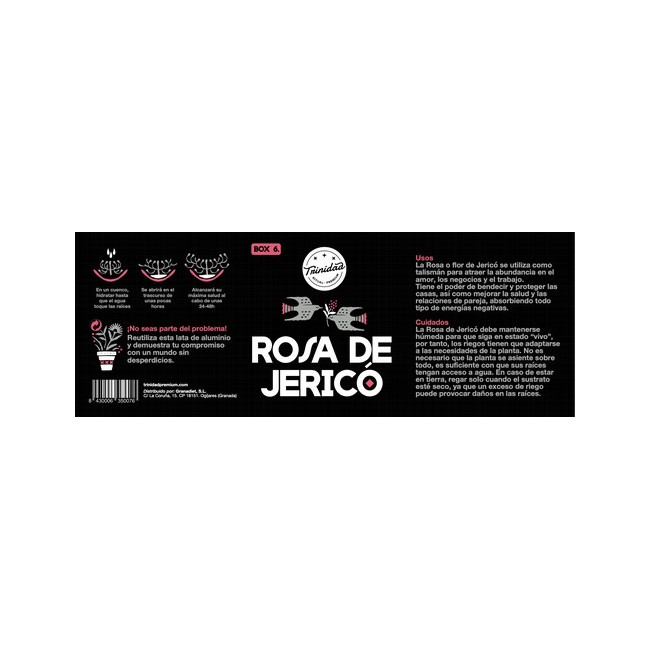 Rosa de Jericó Organizer Box - imagen 2 de 2