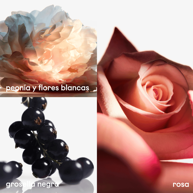 Olympéa Flora EDP Intense 80 ml von Rabanne
