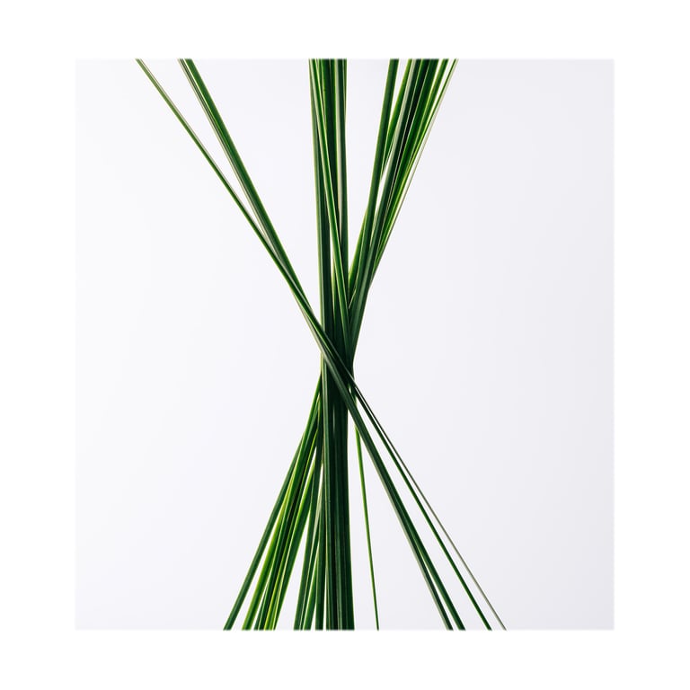 Esencia Set EDT 100 ml + EDT 10 ml + Esencia Elixir EDP 10 ml de Loewe