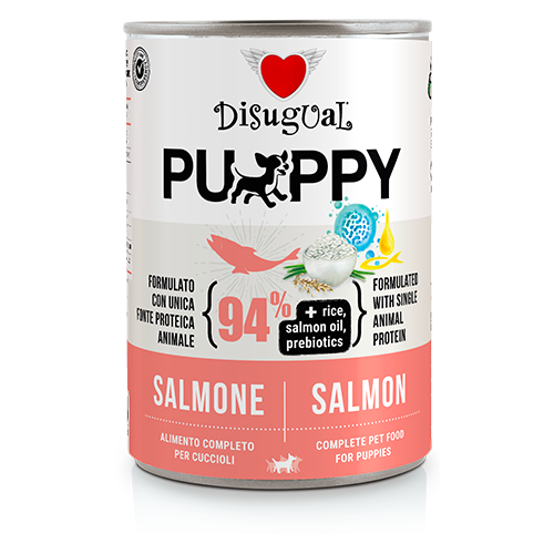 Puppy Salmón