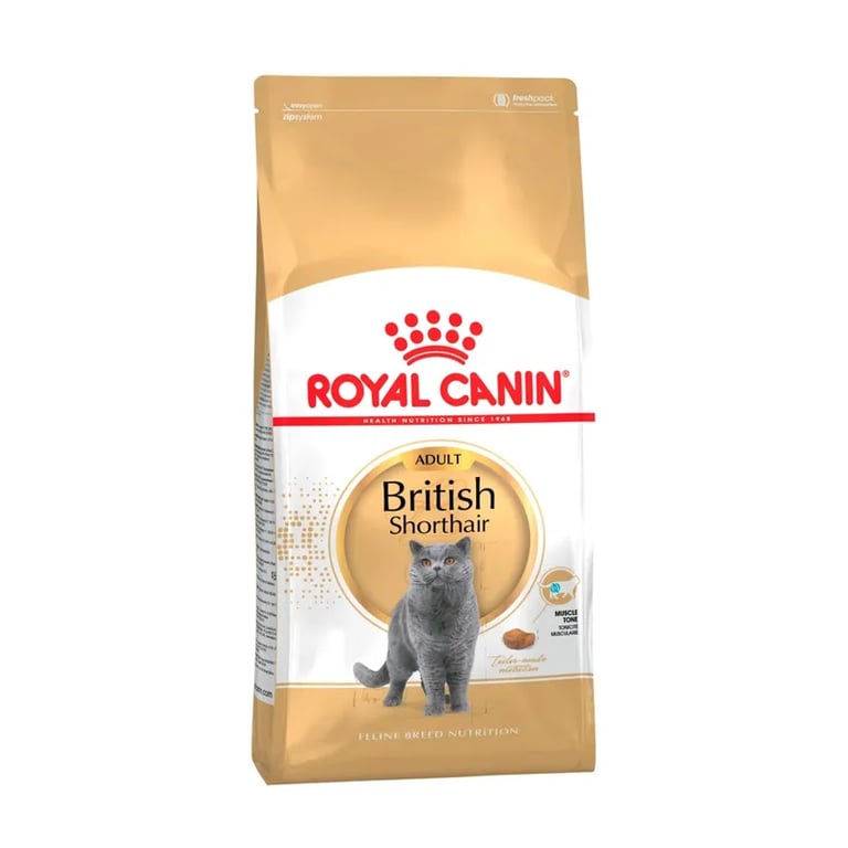 Royal Canin British Shorthair Gato Adulto
