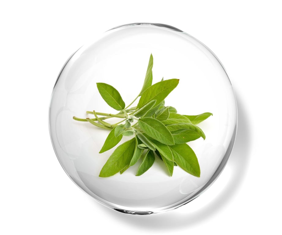 Champú Deep Clean Ultra Natural Care - imagen 4 de 7
