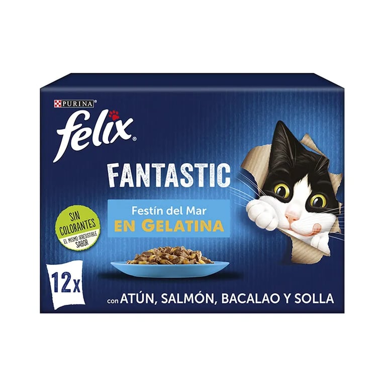 Fantastic Festín Del Mar En Gelatina