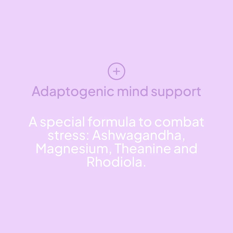 Ashwagandha KSM-66 + Magnesium L-Theanin - imagen 2 de 7