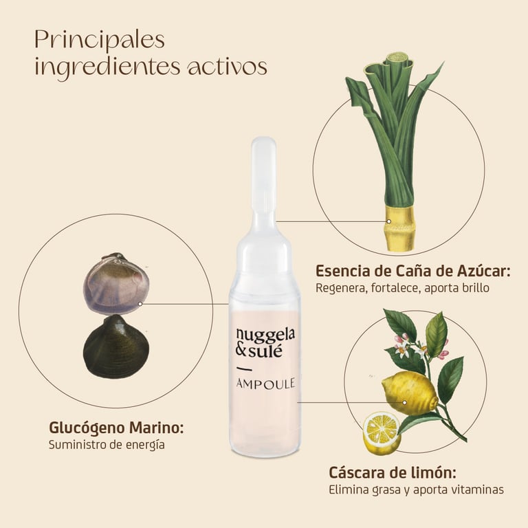 Ampoule Multivitamine-Energy - imagen 8 de 17