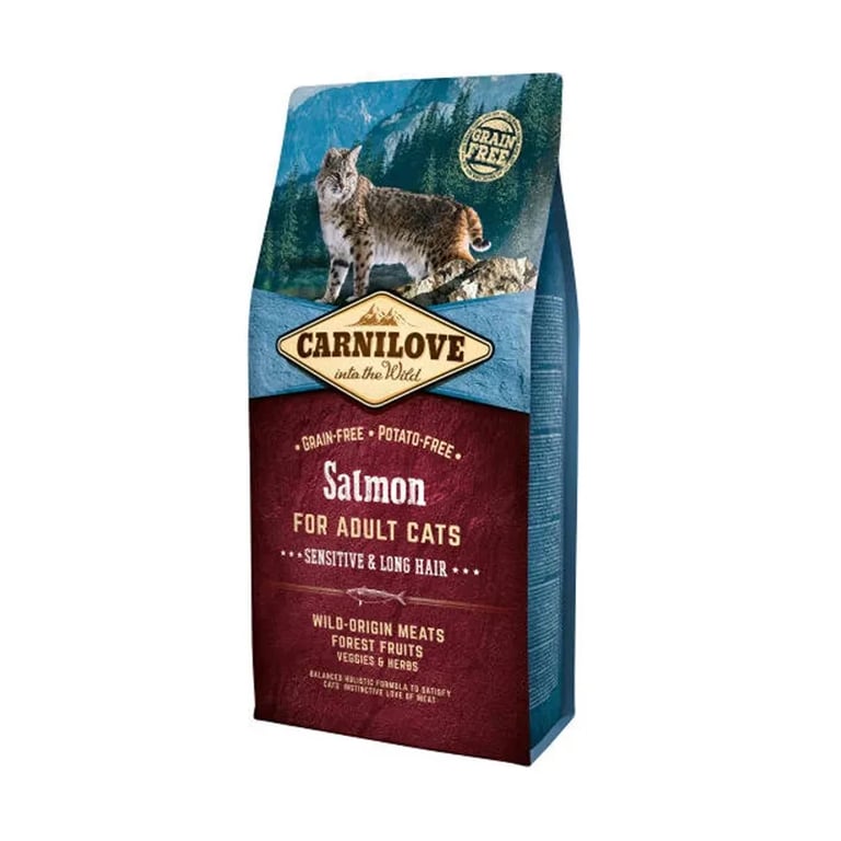 Denke Katze Erwachsene Sensible Lange Haare Lachs