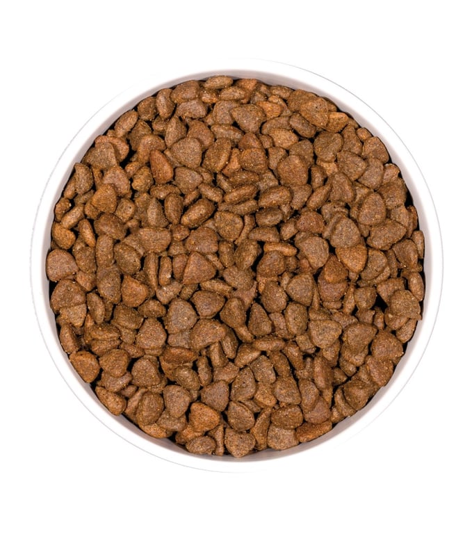 Prime Grain Free Chaton - imagen 3 de 4