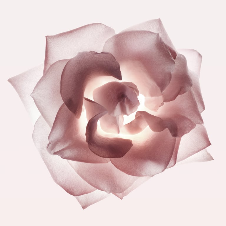 Narciso EDP Cristal 50 ml di Narciso Rodriguez