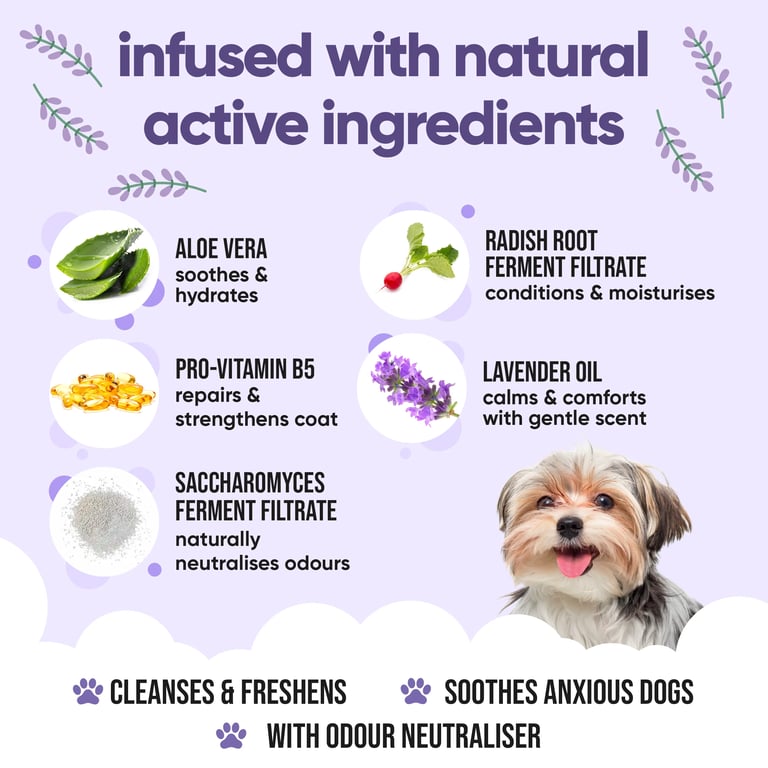 Shampoo Calmante Lavanda per Cani - imagen 4 de 8