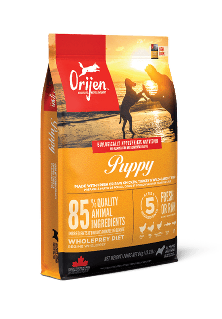 Dry Puppy Dog - imagen 2 de 17
