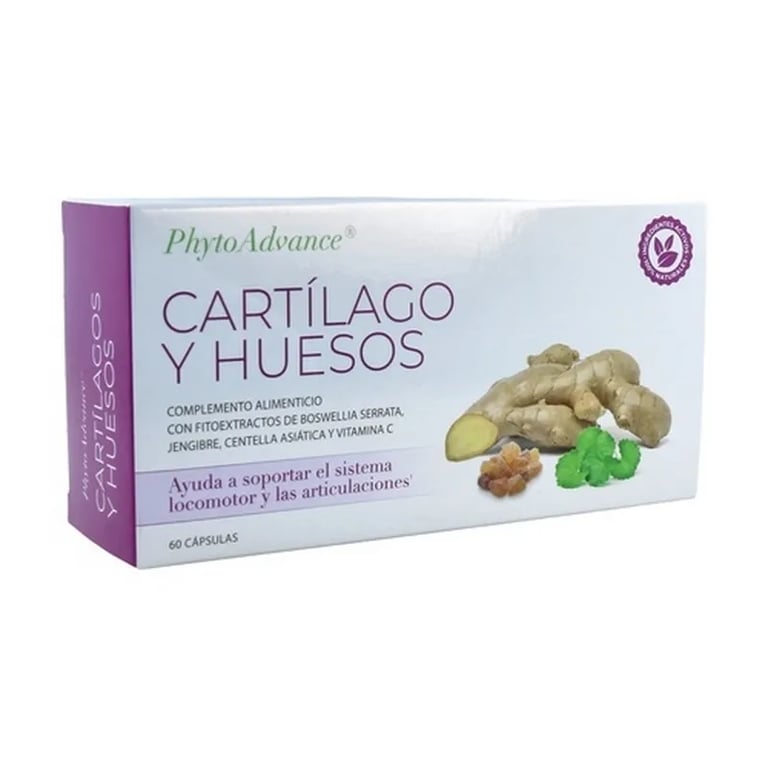Cartilage et Os