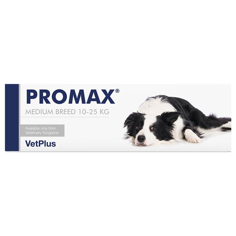 Promax Races Grandes - imagen 2 de 2
