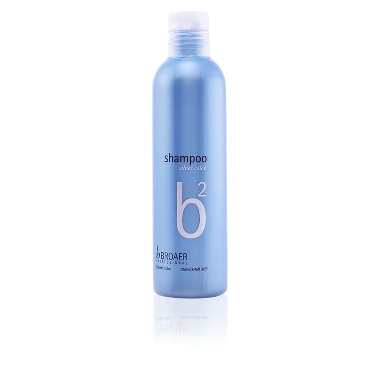 B2 Silver Shampoo