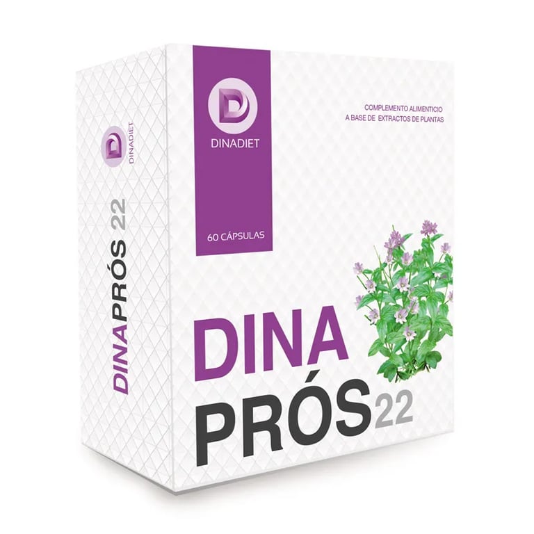 DINAPRÓS 22