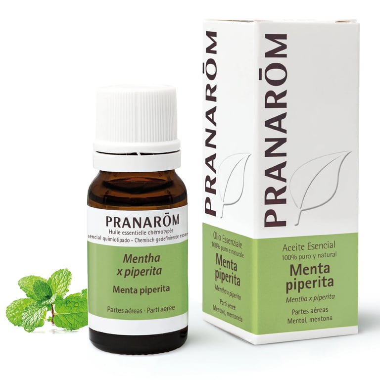Rosmarin Qt Verbenona Bio-Öl - imagen 5 de 6