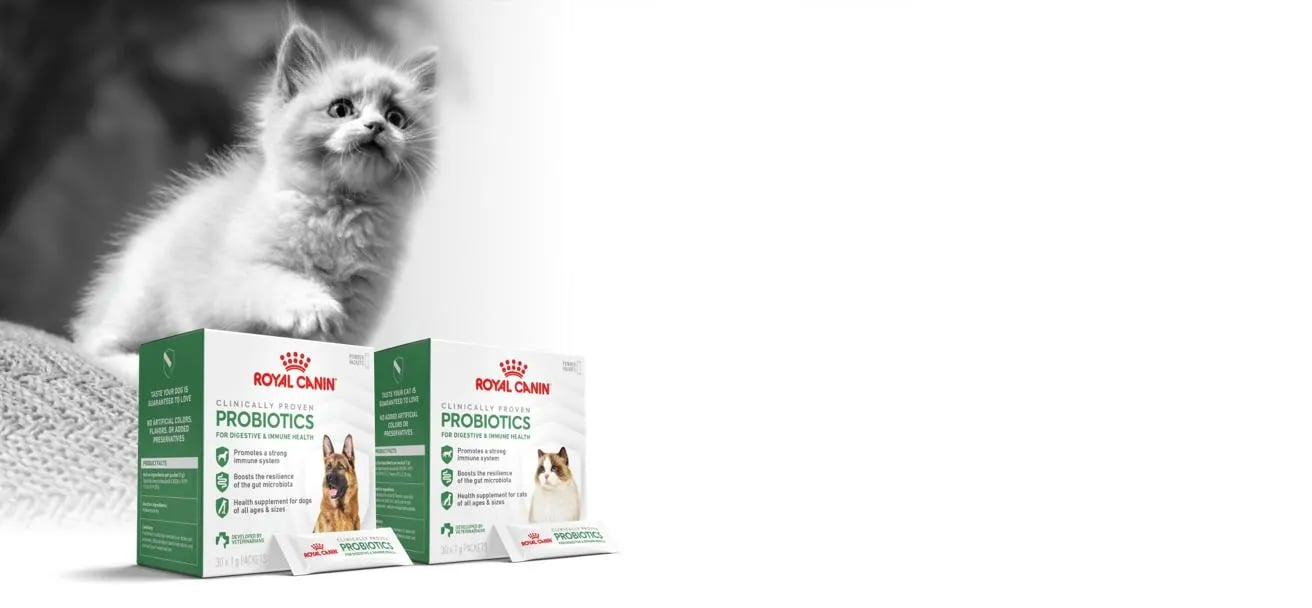 Veterinary Gastrointestinal Low Fat Small Dog - imagen 8 de 8