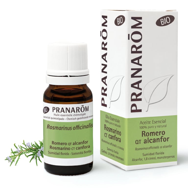 Rosmarin Qt Verbenona Bio-Öl - imagen 2 de 6