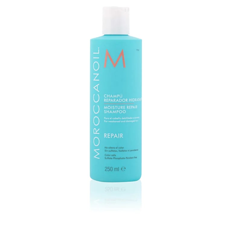 Repair Moisture Repair Shampoo