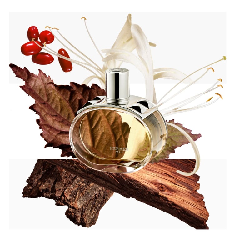 Barénia EDP Nachfüllbar 30 ml von Hermès