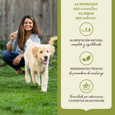 Wild Coast Hundefutter - imagen 5 de 11