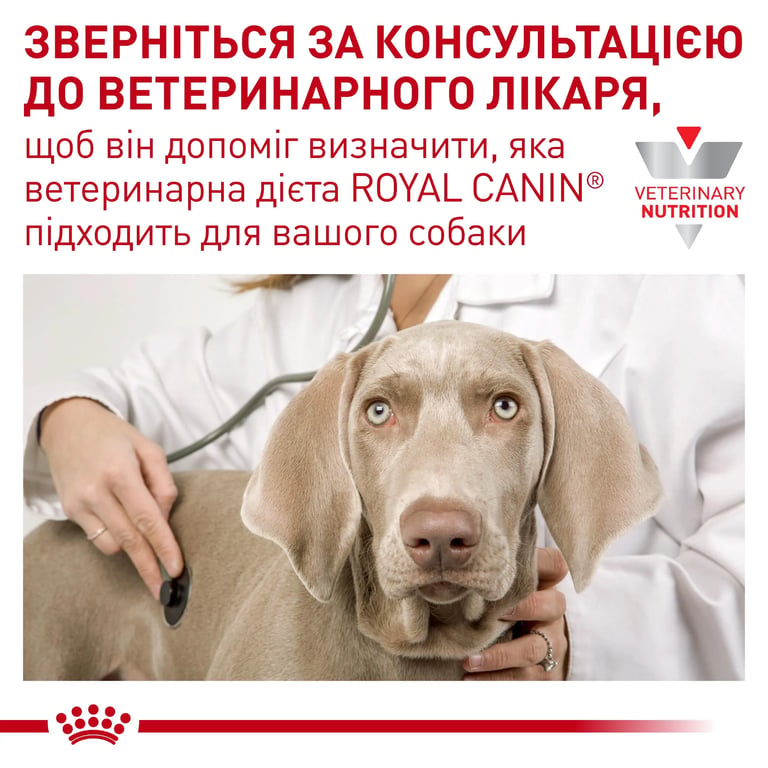 Veterinary Gastrointestinal Low Fat Small Dog - imagen 6 de 8