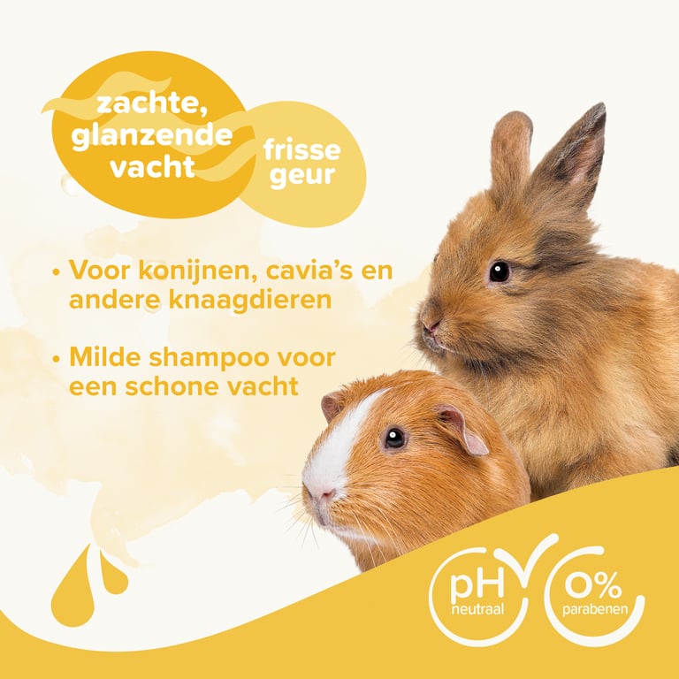 Shampoing Rongeurs - imagen 5 de 10