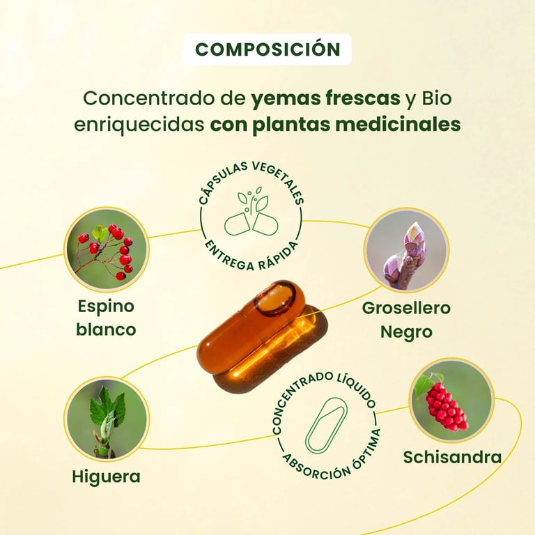 Gemmocaps Stress-Protect Relax - imagen 4 de 6