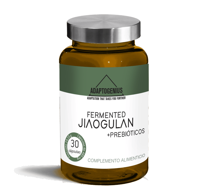 Jiaogulan Fermenté - imagen 2 de 3