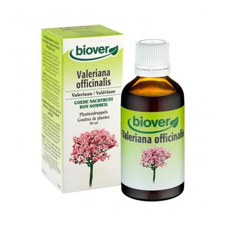 Valeriana Officinalis