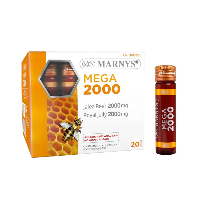MEGA 2000 JALEA REAL