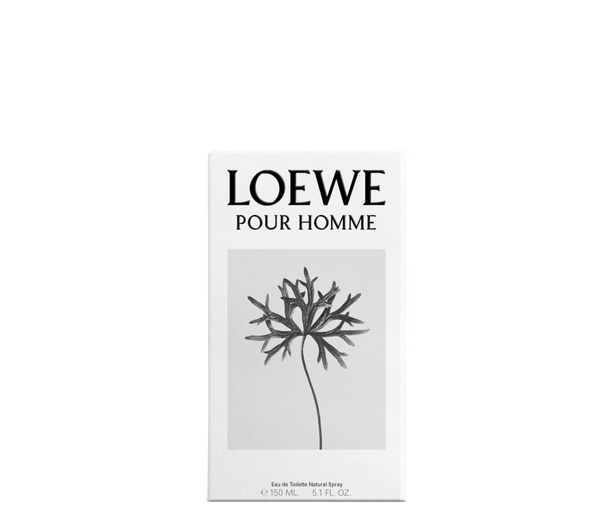 Loewe Pour Homme EDT 150 ml de Loewe - imagen 3 de 4