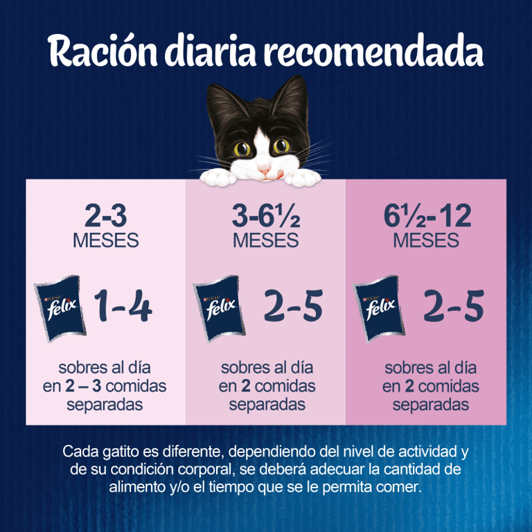 Fantastic Junior Sélections Favorites - imagen 2 de 3